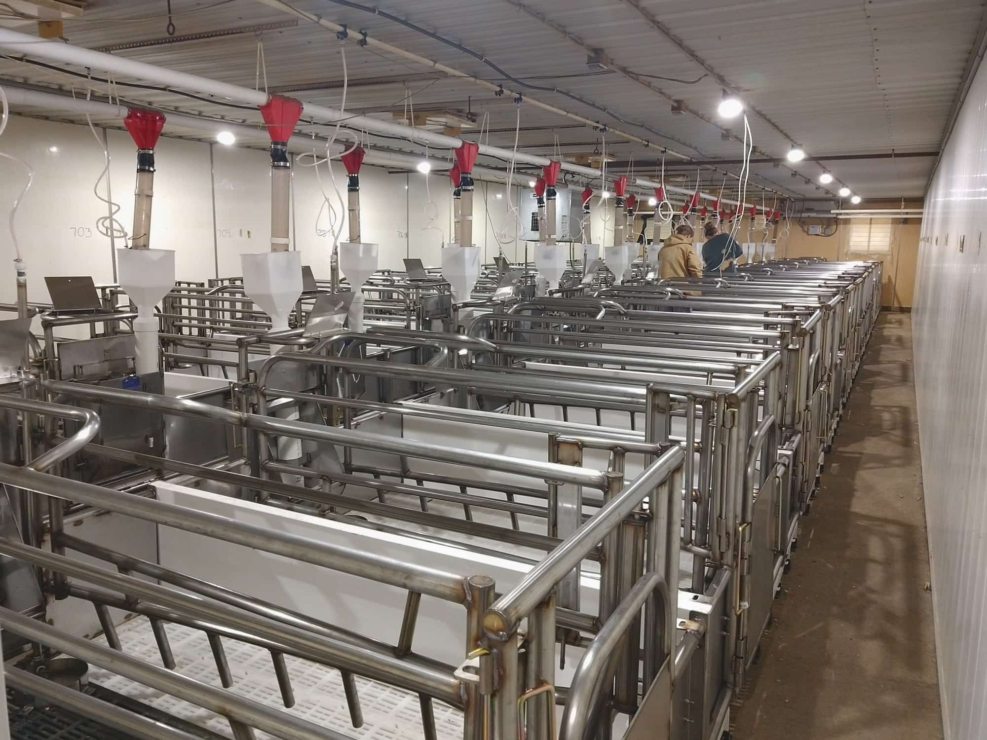 Midwest Livestock Project Thorp Equipment